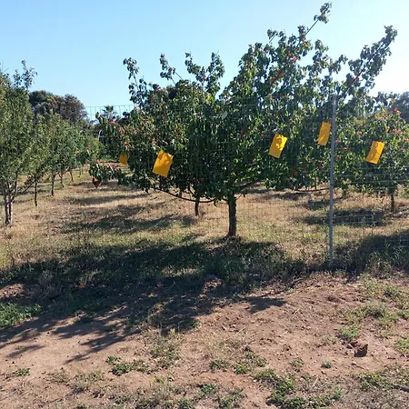 Sannoranna ファームステイ カブラス