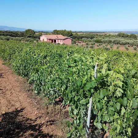 Farm stay Sannoranna